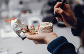 artificial-jaw-dentist-s-office